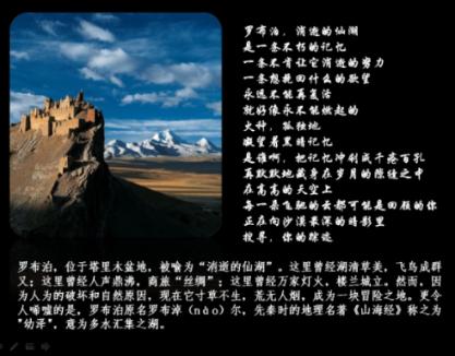 探探猫宝石岛