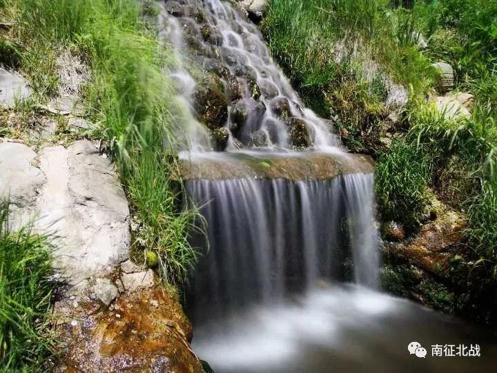 (法治)法 • 视界 | 500斤重黄牛被困!消防员“拔河”救牛
